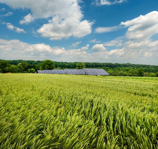 Vista panorámica de los paneles solares y el campo de trigo verde en verano bajo un hermoso cielo con nubes