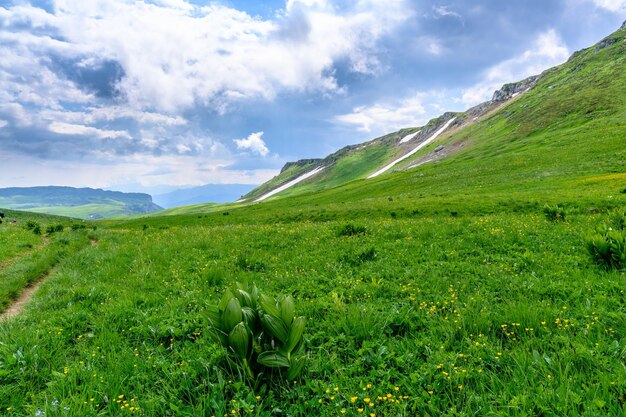 Vista panorâmica panorâmica de idílicas colinas paisagem com prados em flor e picos alpinos cobertos de neve no fundo em um belo dia ensolarado