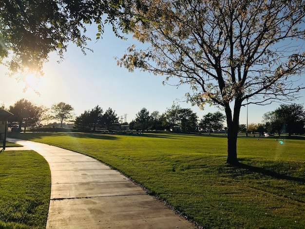 Foto vista panorámica del parque contra el cielo despejado