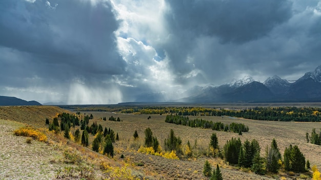 Vista panorámica del Parque Nacional Grand Teton