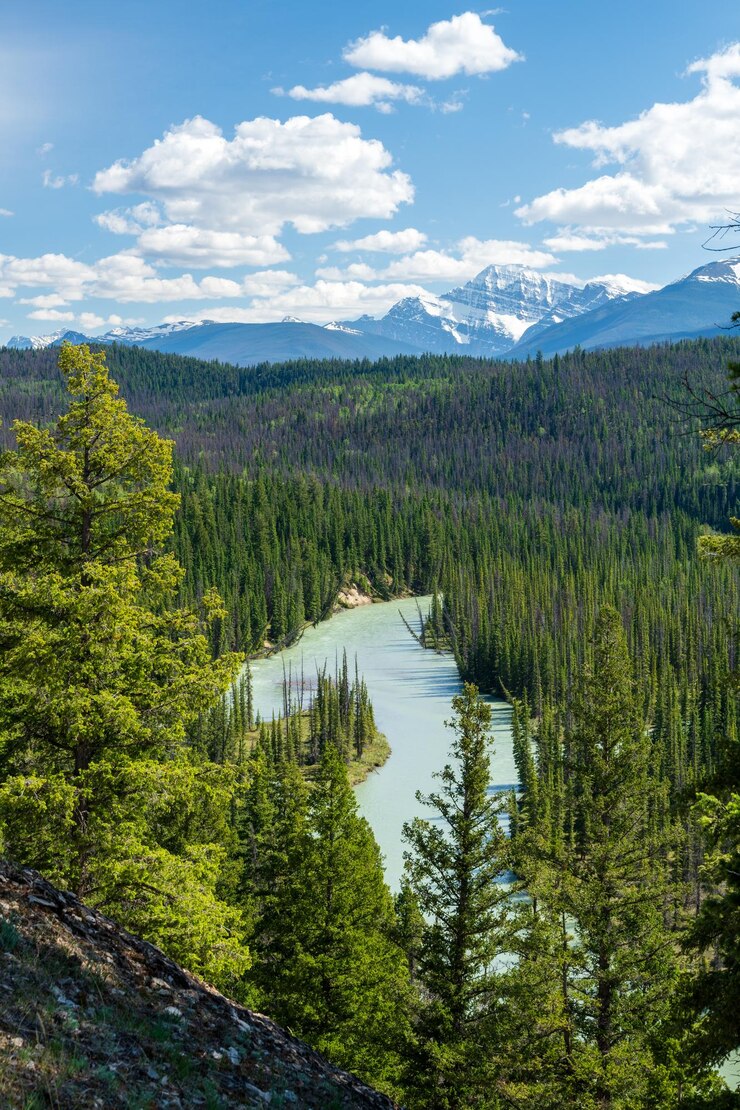 Vista panorámica en el Parque Nacional Old Fort Point Jasper Alberta Canadá El Monte Edith Cavell