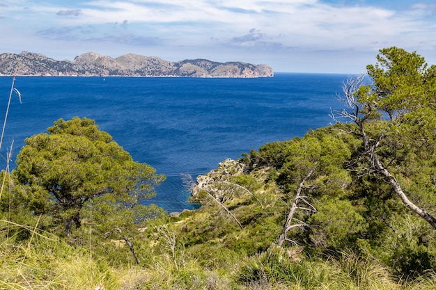 Vista panorámica desde la península de la victoria mallorca