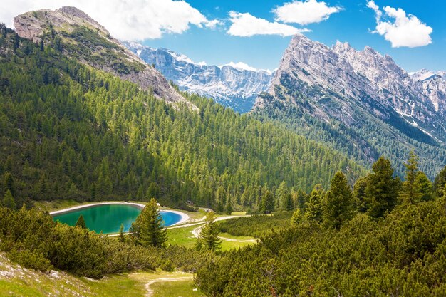 Foto vista panorámica de pinos y montañas contra el cielo