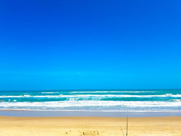 Foto vista panorámica de la playa contra el cielo azul claro