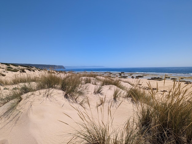 Vista panorámica de la playa contra el cielo azul claro