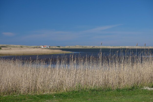 Vista panorámica de la playa contra el cielo azul