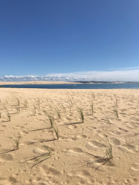 Foto vista panorámica de la playa contra el cielo azul