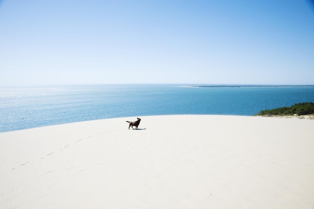 Vista panorámica de la playa contra el cielo azul