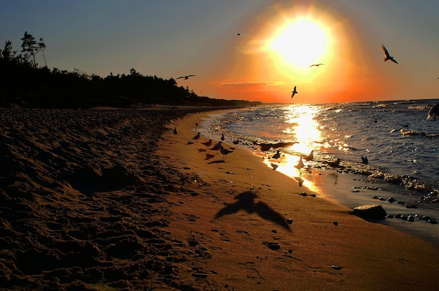 Foto vista panorámica de la playa contra el cielo durante la puesta de sol