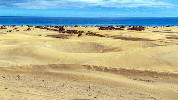 Foto vista panorámica de la playa contra el cielo