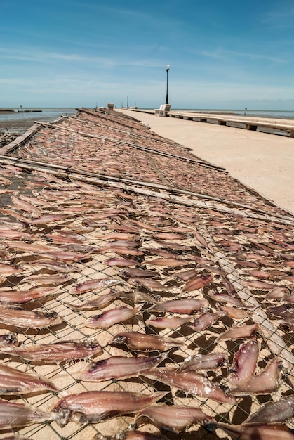 Vista panorámica de la playa contra el cielo