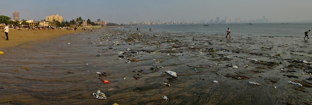 Vista panorámica de la playa contra el cielo