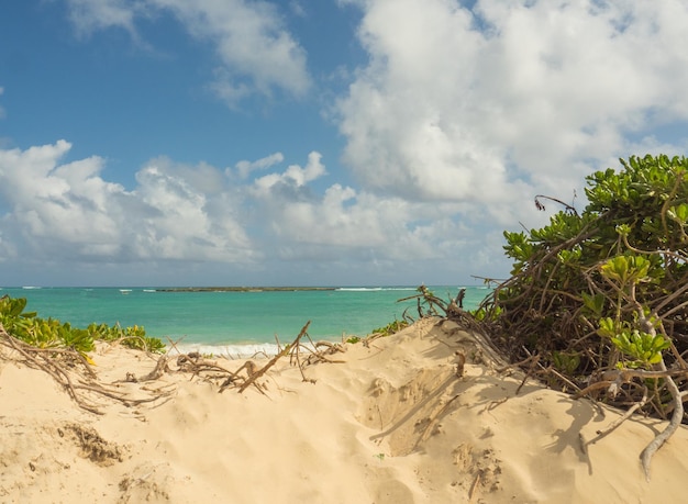 Foto vista panorámica de la playa contra el cielo