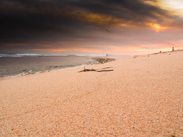 Foto vista panorámica de la playa durante la puesta de sol