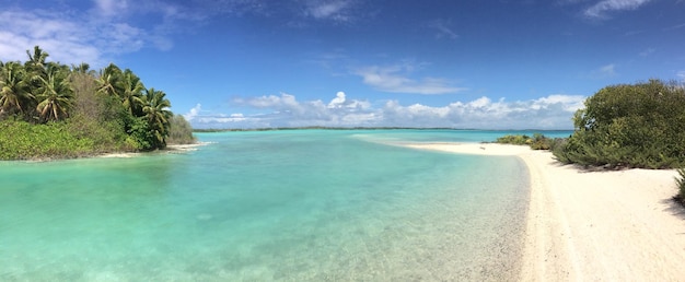 Vista panorámica de una playa tropical