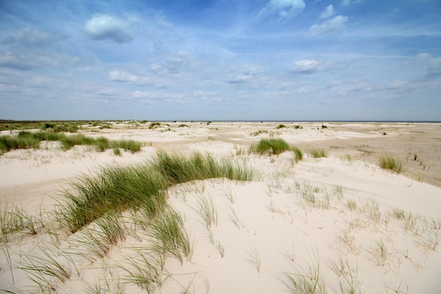 Vista panorámica de la playa