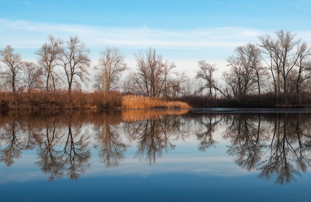 Vista panorámica con reflejo sobre el lago. Estanque tranquilo temprano en la mañana