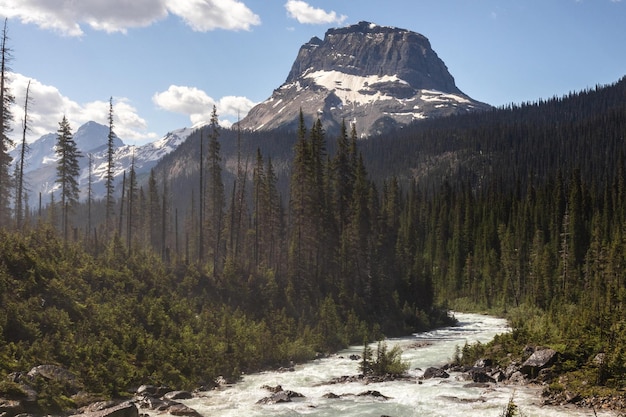 Vista panorámica de un río, árboles y montañas contra el cielo