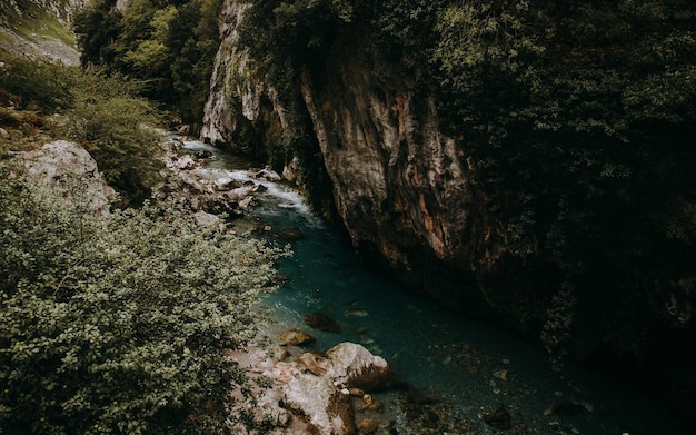 Vista panorámica del río entre árboles y rocas