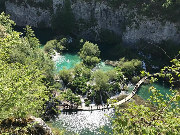 Vista panorámica del río entre los árboles