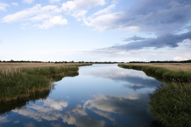 Vista panorámica del río y el campo de hierba