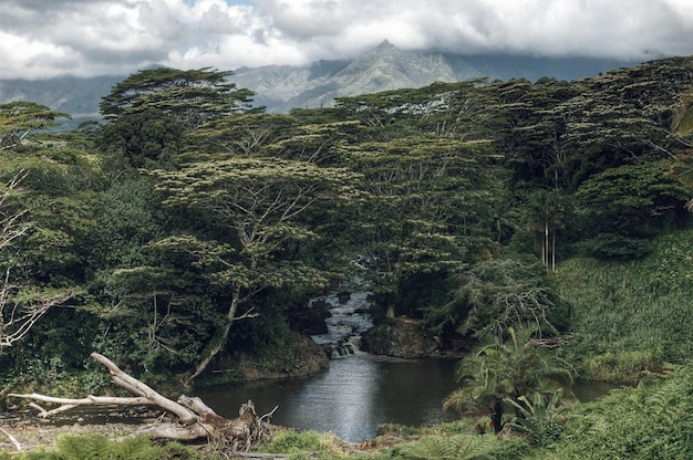 Foto vista panorámica del río contra un cielo nublado