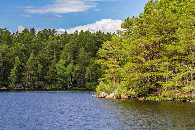 Vista panorámica del río en medio de los árboles en el bosque contra el cielo