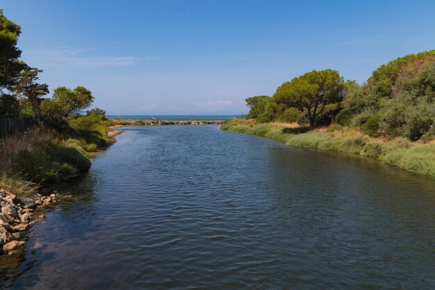 Vista panorámica del río en medio de los árboles contra el cielo azul