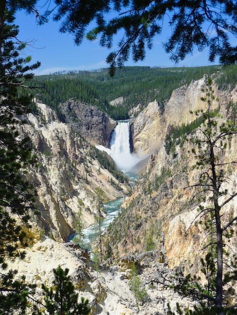 Vista panorámica del río en medio de los árboles contra el cielo