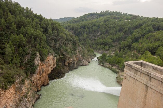 Foto vista panorámica del río en medio de los árboles contra el cielo