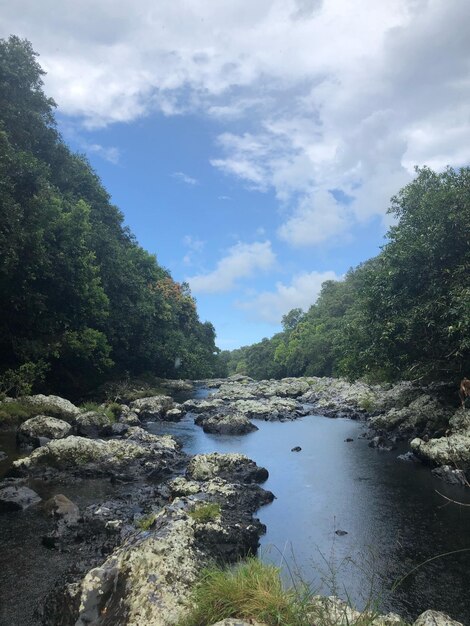 Vista panorámica del río en medio de los árboles contra el cielo