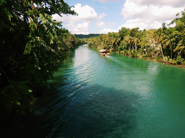 Foto vista panorámica del río en medio de los árboles contra el cielo