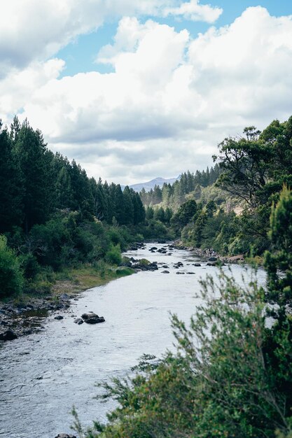 Vista panorámica del río en medio de los árboles contra el cielo