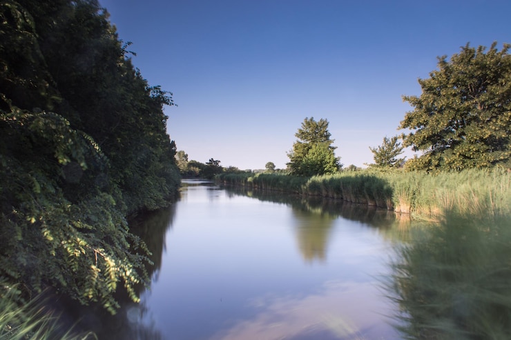 Foto vista panorámica del río en medio de los árboles contra el cielo