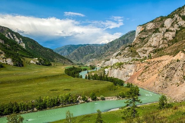 Vista panorámica del río de montaña cerca de ALtai, Rusia. Paisaje de arroyo de río de montaña