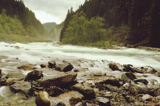 Foto vista panorámica del río que fluye a través de las rocas en el bosque