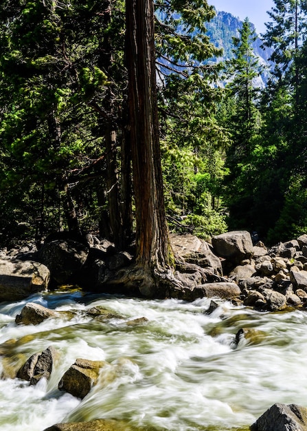 Foto vista panorámica del río que fluye a través de las rocas