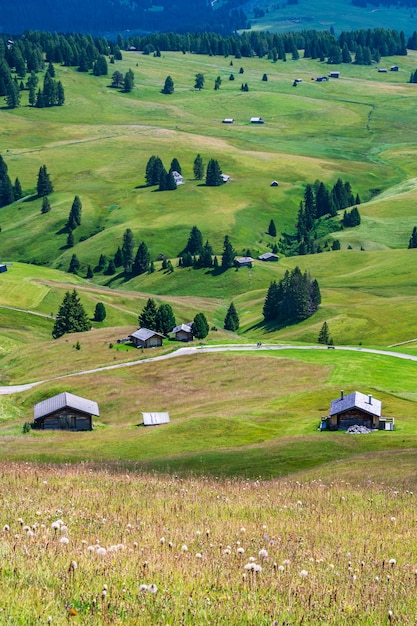 Vista panorámica de Seiser Alm con prados y refugio de montaña durante la temporada de verano