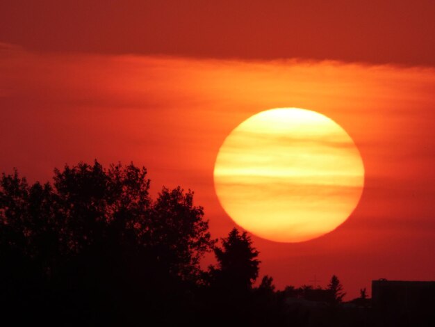 Foto vista panorámica de las siluetas de los árboles contra el cielo naranja al atardecer