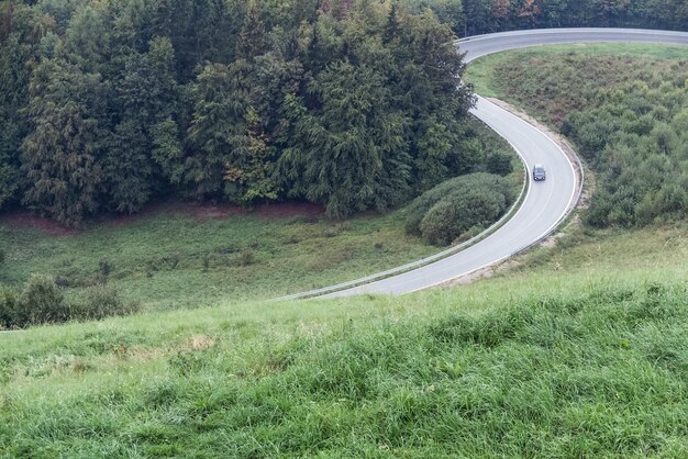 Vista panorámica de la sinuosa carretera en medio de los árboles