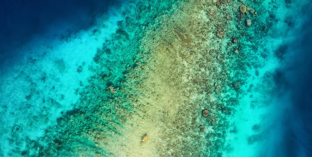 Vista panorámica sobre el arrecife de coral Fondo de agua azul desde la vista superior Paisaje marino de verano desde el aire Imagen de viaje