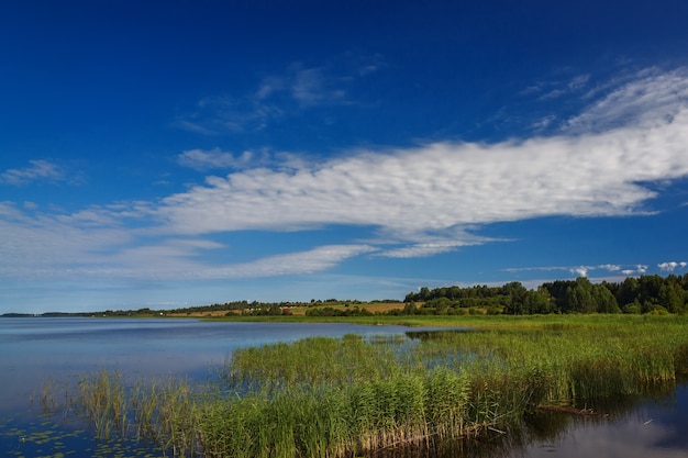 Vista panorámica de la superficie lisa del lago con vegetación.