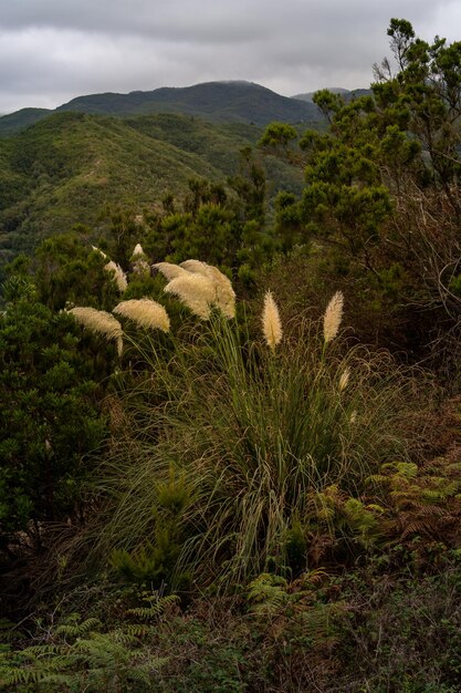 Foto vista panorámica de la tierra contra el cielo