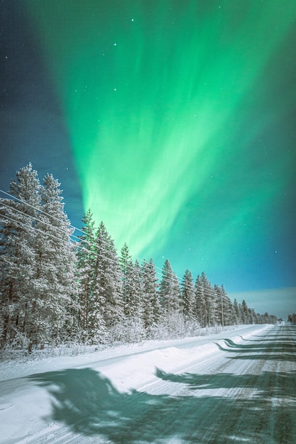 Vista panorámica de la tierra cubierta de nieve contra el cielo durante la aurora boreal