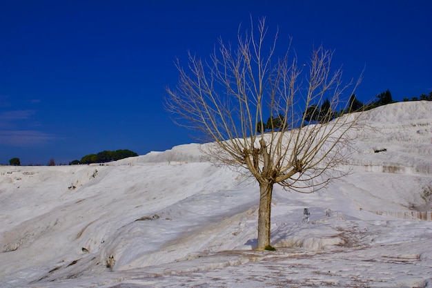 Vista panorámica de la tierra cubierta de nieve contra el cielo azul