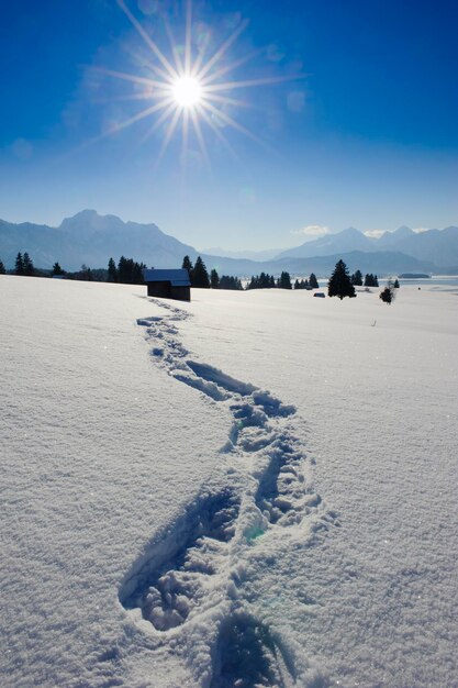 Vista panorámica de la tierra cubierta de nieve contra el sol brillante