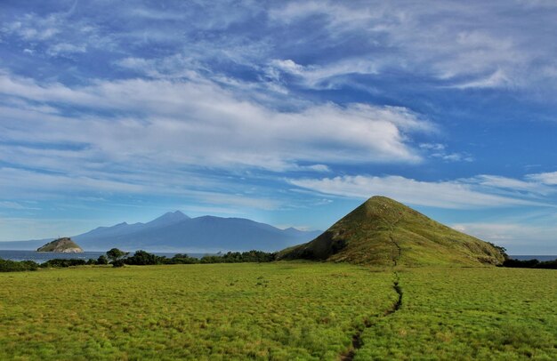 Foto vista panorámica de la tierra de hierba contra el cielo