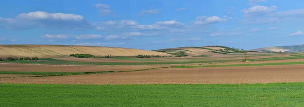 Vista panorámica de las tierras de cultivo con cielo