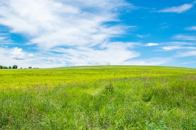 Vista panorâmica tranquila de campo de grama verde e céu nublado branco