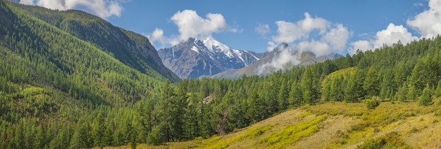 Vista panorámica de un valle de montaña, viajes de verano, bosque, picos nevados